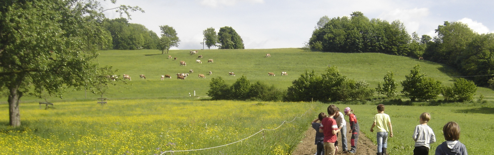 Ziegelhuette Kirchheim kuerbis